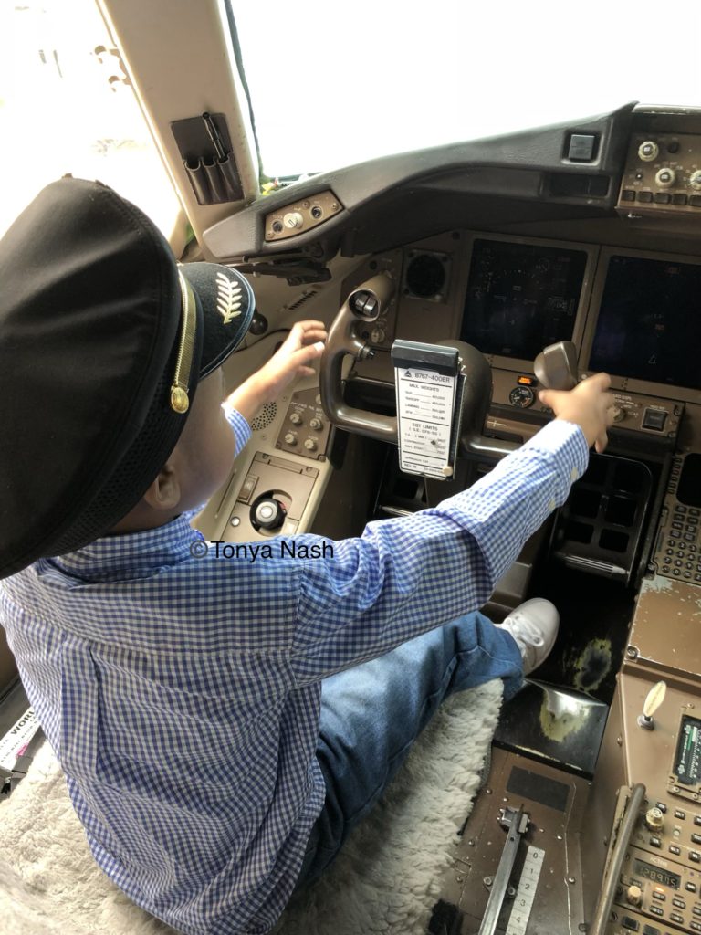 Toddler Pilot