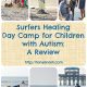 Surfers Healing Day Camp for Children with Autism: A Review