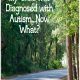 My Child was Diagnosed with Autism…Now What?